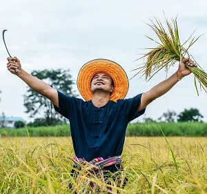 精选结合版本更新，精准解读规则变化，助力玩家适应游戏迭代。内容，狗子285与你一同发现更多精彩。 Updates - 狗子285