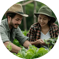 Revolutionizing  the Way Food - 狗子285