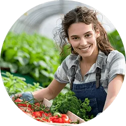 Revolutionizing  the Way Food - 狗子285