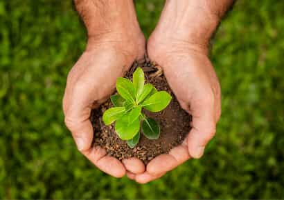 Organic Farming Solutions - 狗子285