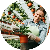 Organic Farming - 狗子285