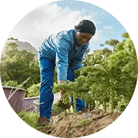 Organic Farming - 狗子285